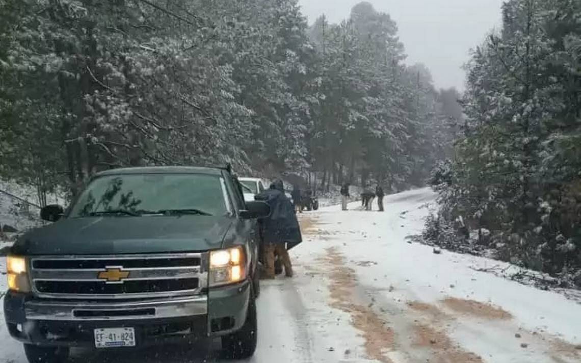 Reportan vehículos varados en la carretera a Guadalupe y Calvo nieve